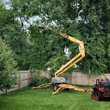 Best Firewood Processing and Delivery  in Bermuda Dunes, CA